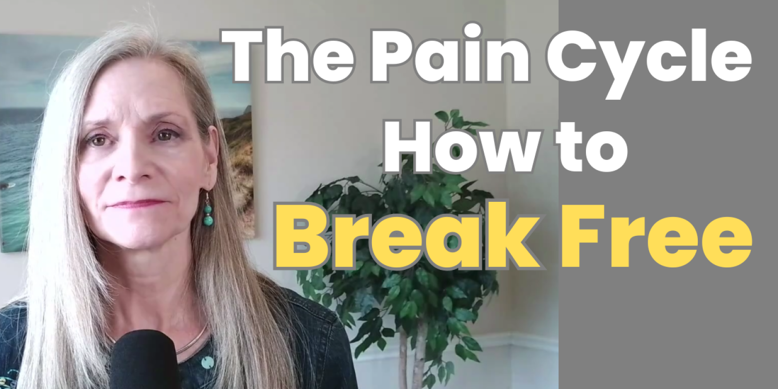 Debbie Murphy explaining the chronic pain cycle